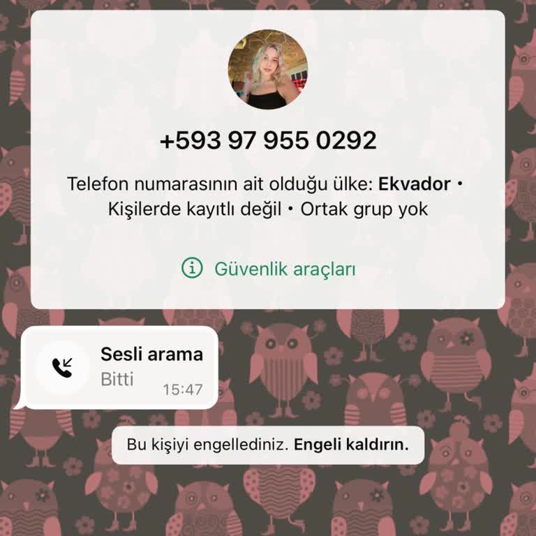Bilinmeyen Ülkeden Gelen WhatsApp Araması Ve Güvenlik Endişesi