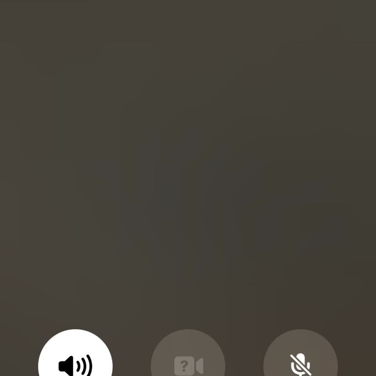 Rezervasyon Krizi: Ulaşılamayan Telefonlar
