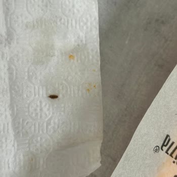 Metroport AVM'de Hijyen Skandalı: Böcekli Pizza!