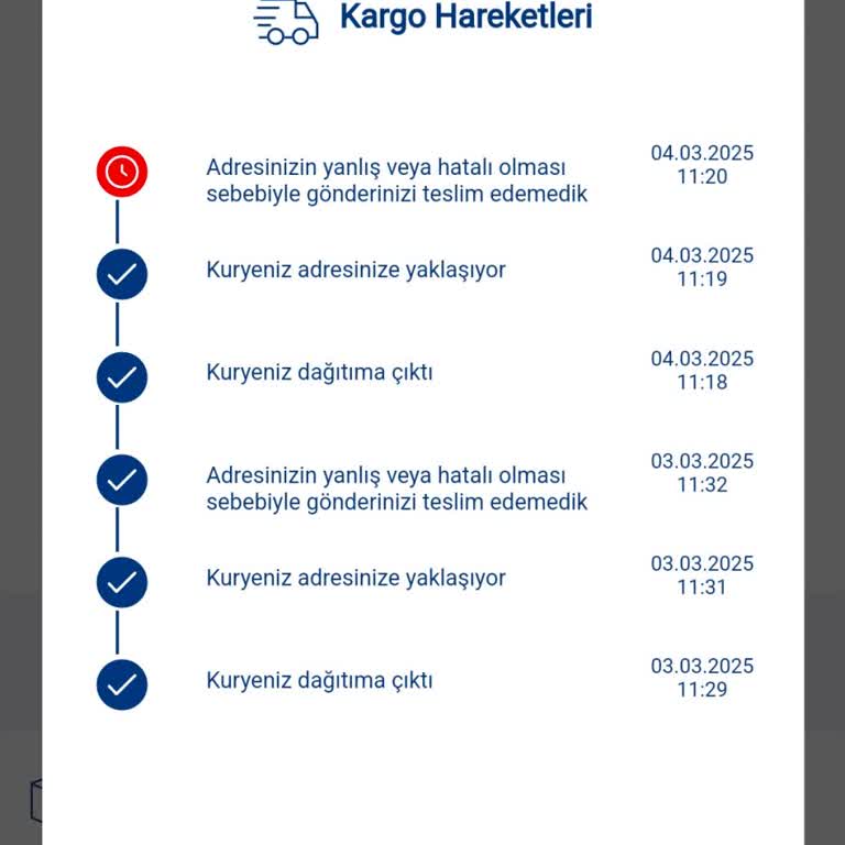 Aras Kargo Karamürsel Şubesi Teslimat Sorunları