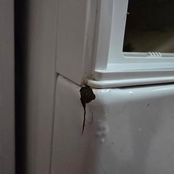 Siemens Çamaşır Makinesi Paslanma Sorunu Ve Müşteri Hizmetleri Deneyimi