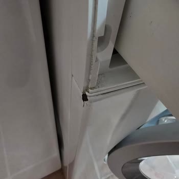 Siemens Çamaşır Makinesi Paslanma Sorunu Ve Müşteri Hizmetleri Deneyimi