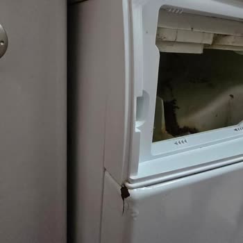 Siemens Çamaşır Makinesi Paslanma Sorunu Ve Müşteri Hizmetleri Deneyimi