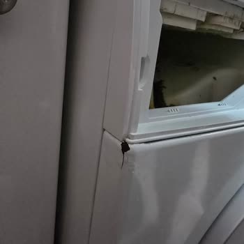 Siemens Çamaşır Makinesi Paslanma Sorunu Ve Müşteri Hizmetleri Deneyimi