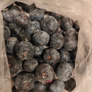 Yanıltıcı Ürün: Yaban Mersini Yerine Başka Meyve