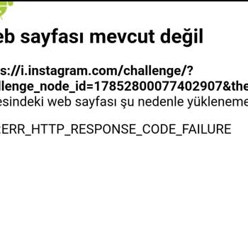 Instagram Hesaplarımda Akış Yenilenemiyor, Sürekli Error Veriyor