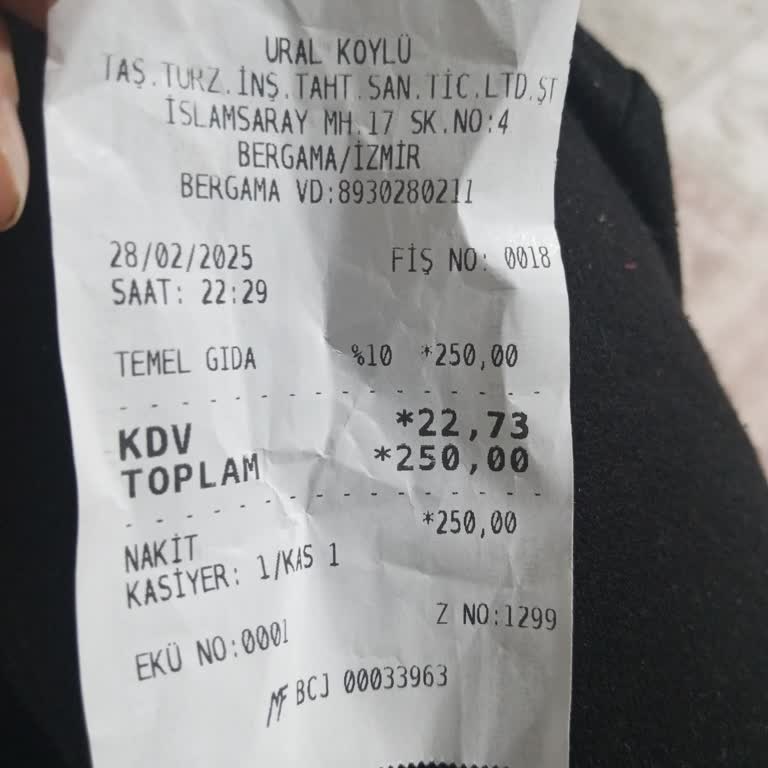Pizza Tomato Geç Gelen Sipariş ve Kötü Hizmet Deneyimi