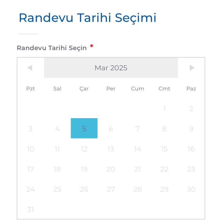 Kosmos Vize Randevu Saat Sorunu Ve Şirketlere Bağımlılık