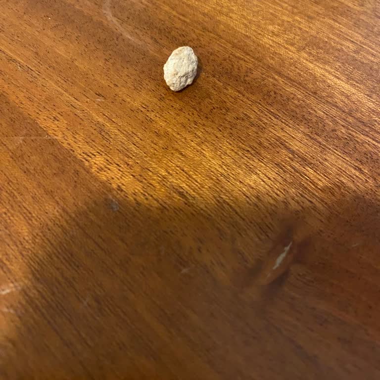 Simbat Beyaz Leblebi İçinden Taş Çıkması Büyük Sorumsuzluk