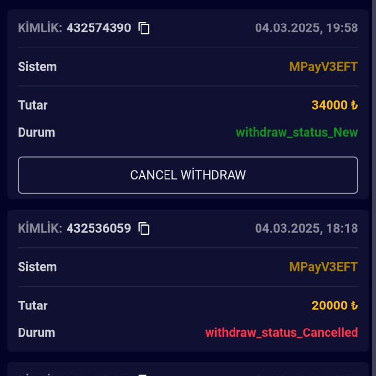 Para Çekiminde Yaşanan Sorunlar Ve Çözüm Beklentisi