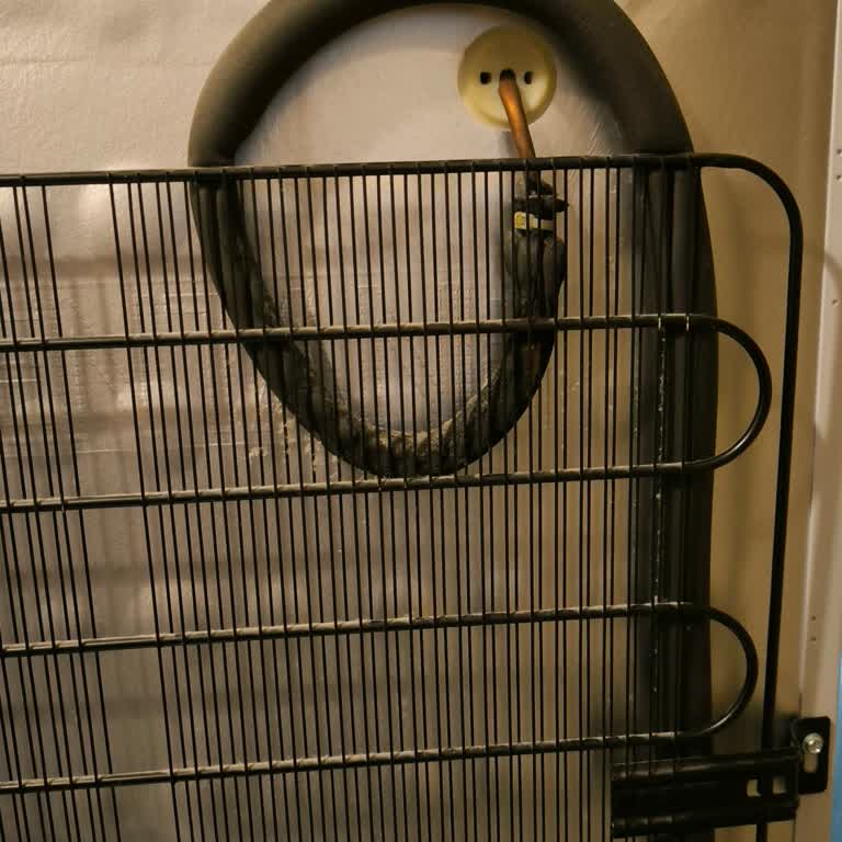 Arçelik Derin Dondurucu Soğutma Sorunu Ve Yüksek Servis Ücreti