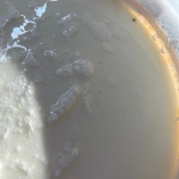 İçim Yoğurt İçerisinde Siyah Kalıntı Şoku