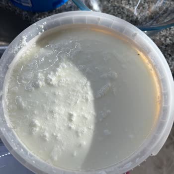 İçim Yoğurt İçerisinde Siyah Kalıntı Şoku