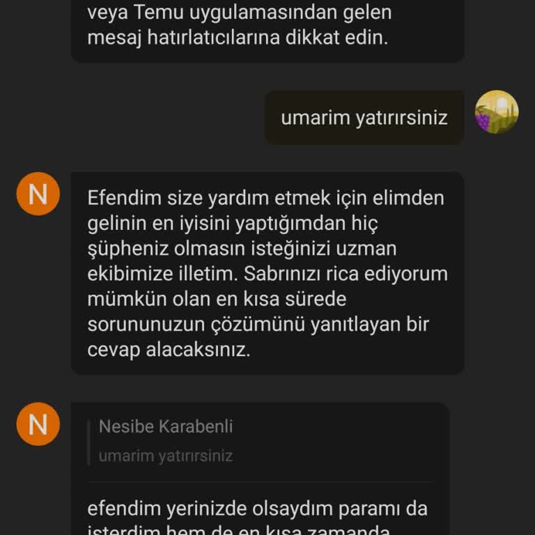İade Edilmeyen Para: Sürekli Ertelenen Geri Ödeme