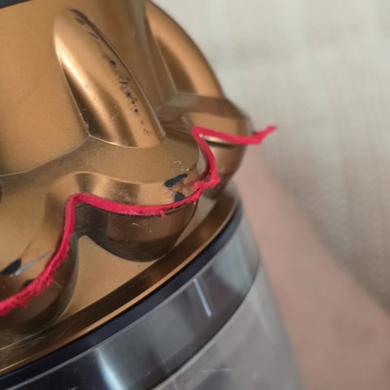 Dyson Müşteri Hizmetlerine Ulaşamama Sorunu