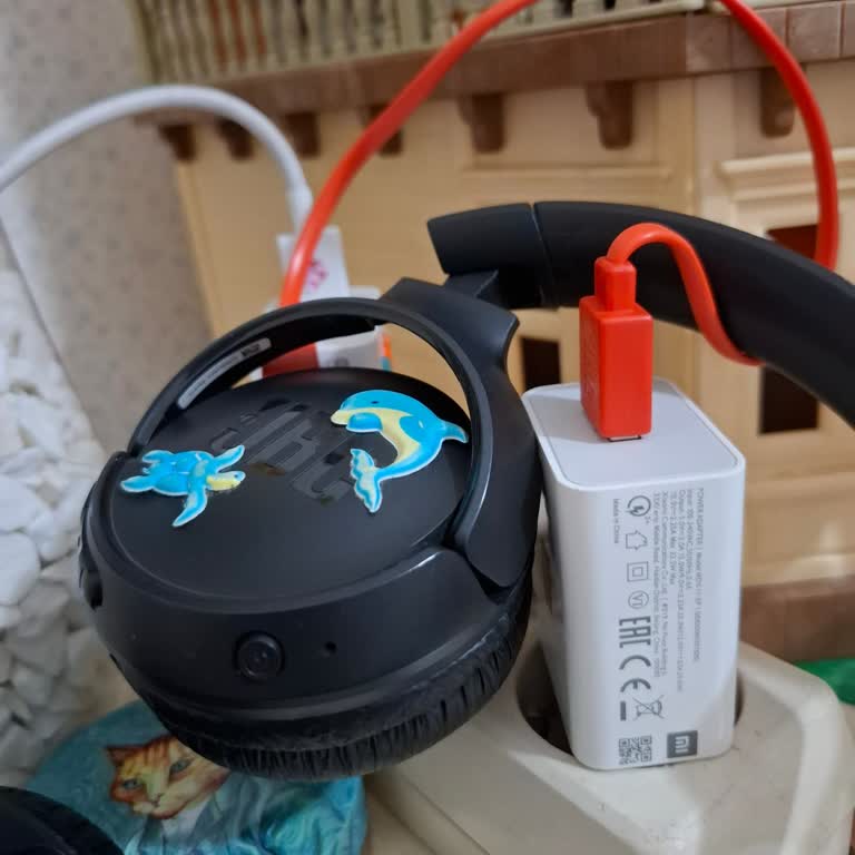 Güvenilir JBL Kulaklığım Artık Şarj Olmuyor Ve Bağlanmıyor