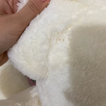 Müşteri Memnuniyeti Yerine Para Odaklı Yaklaşım: Çiçek Sepeti'nin Hayal Kırıklığı