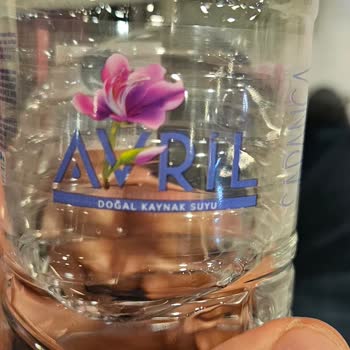 Pendik Marina Alaçatı'da Hayal Kırıklığı: Rezervasyon Sorunları Ve Güvenlik Endişeleri