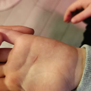 Pendik Marina Alaçatı'da Hayal Kırıklığı: Rezervasyon Sorunları Ve Güvenlik Endişeleri