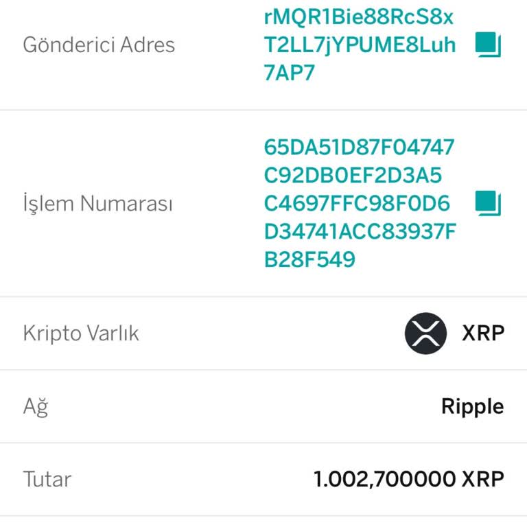 Kripto Transferinde Yaşanan Sorun Ve Çözüm Beklentisi