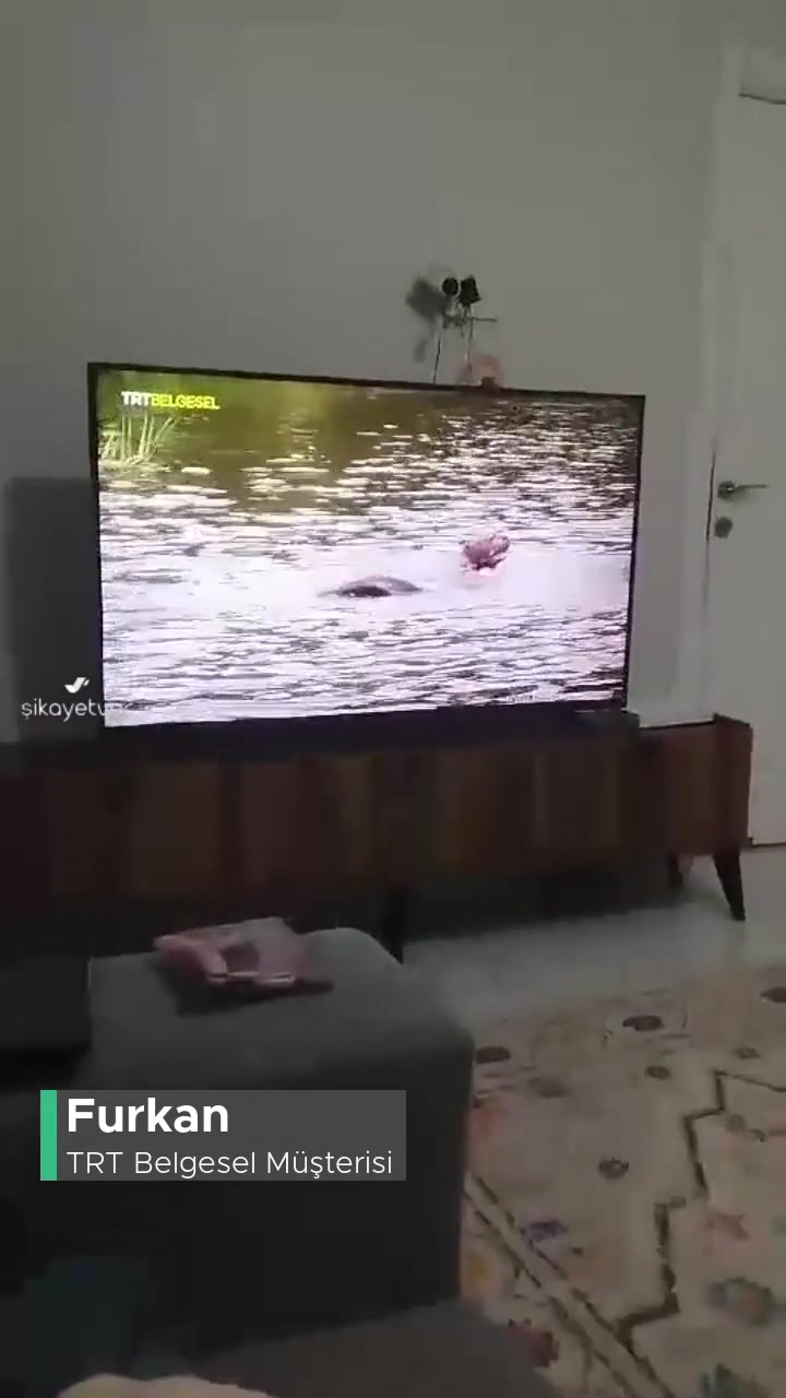 TRT Belgesel Belgeselde Hayvanların Çoğunun İsmini Söylemiyor! videonun kapak resmi