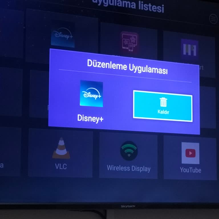 Skytech TV'de Platform Erişim Sorunu Ve Düşük Play Store Sürümü