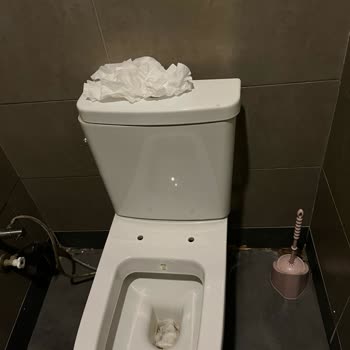 Sevinç Simit Salonu Tuvalet Temizliği Felaketi