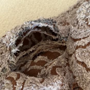 Yastıkların Yıkama Sonrası Paramparça Olması