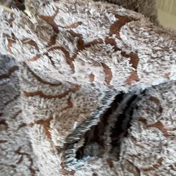 Yastıkların Yıkama Sonrası Paramparça Olması