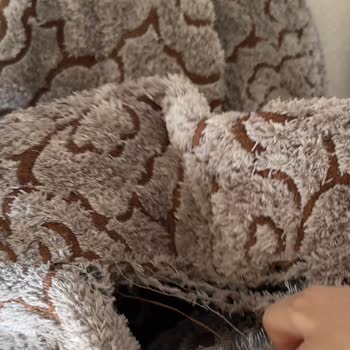 Yastıkların Yıkama Sonrası Paramparça Olması