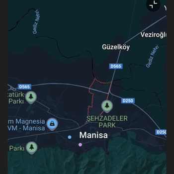 Aras Kargo'nun Manisa Teslimat Sorunu