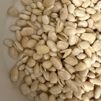 Derinkuyu Kuru Fasulye Hayal Kırıklığı