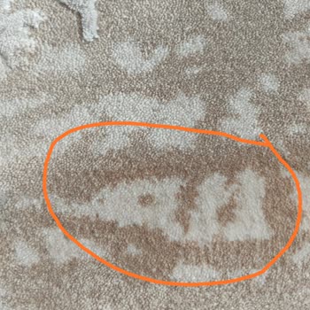 Gümüşsuyu Halı'da Dini Motifler Ve Hassasiyet Eksikliği