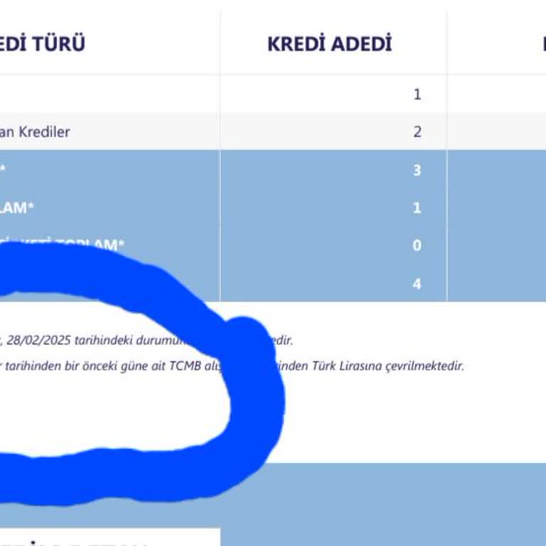 Yapı Kredi Bankası'nın Hatalı Risk Raporu Sorunu