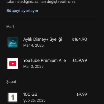 Disney Plus Üyelik Sorunu: Çifte Ücretlendirme