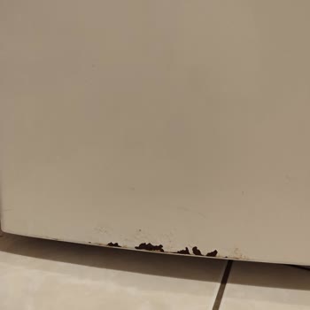 Bosch Ürünlerinde Zamanla Oluşan Paslanma Ve Koku Problemi