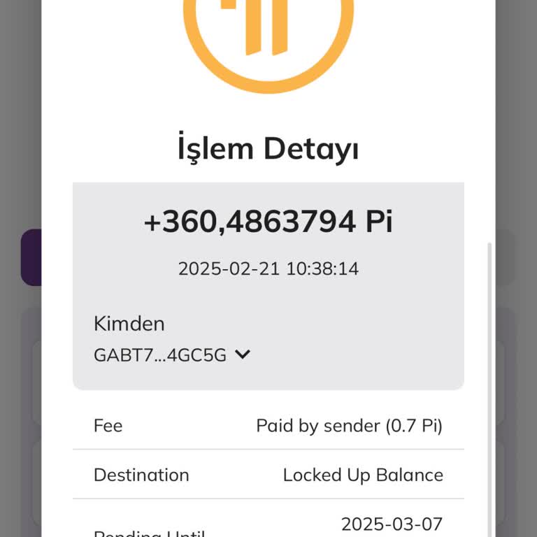 Pi Network Kyc Tamamlandı, Ancak Kilit Sorunu Nedeniyle Mağduriyet Yaşıyorum