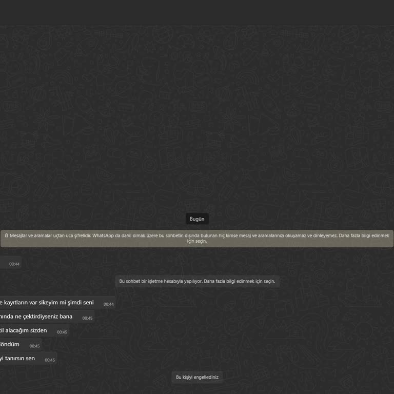 Bilinmeyen Numaradan Gelen Tehditkar Mesajlar