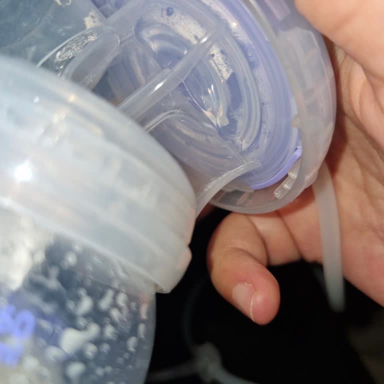 Lansinoh Göğüs Pompası Hayal Kırıklığı: Çekim Gücü Ve Vakum Sorunları