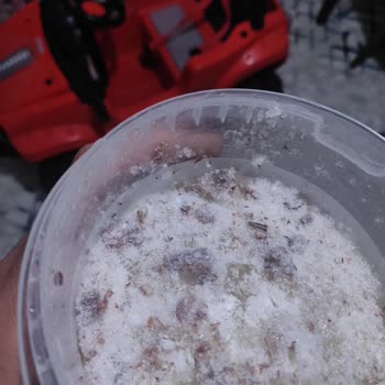 Migros'tan Aldığım Kelle Paçadan Çıkan Kıl Şoku