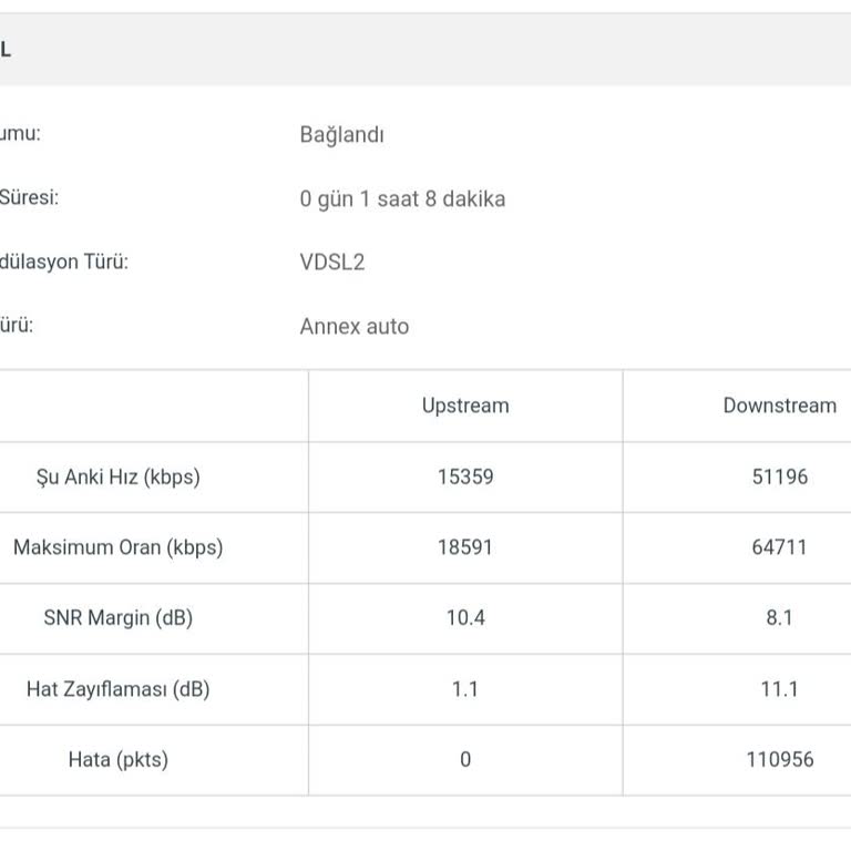 Netspeed İle Bağlantı Sorunları Ve Yetersiz Destek