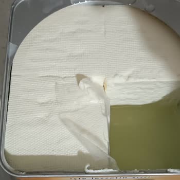 Delikanlı Süt Ürünleri Peynirde Acı Tat