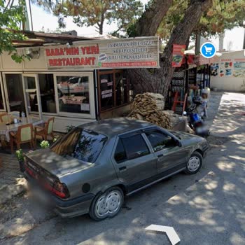 Yaralı Köpeğe Acil Yardım Çağrısı