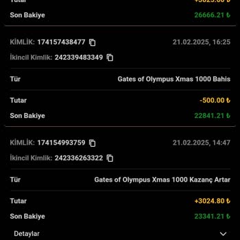 Hesabımdaki Ani Bakiye Kaybı Ve İlgisizlik