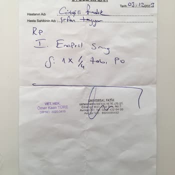 Yanlış Teşhis Ve Gereksiz Tedavi: Kedimin Sağlığıyla Oynandı