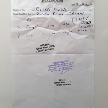 Yanlış Teşhis Ve Gereksiz Tedavi: Kedimin Sağlığıyla Oynandı