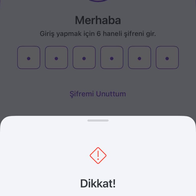Hesap Blokesi Mağduriyeti: Acil Çözüm Bekliyorum
