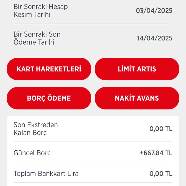 Kredi Kartı Ekstresinde Yanlış Borç Yansıması