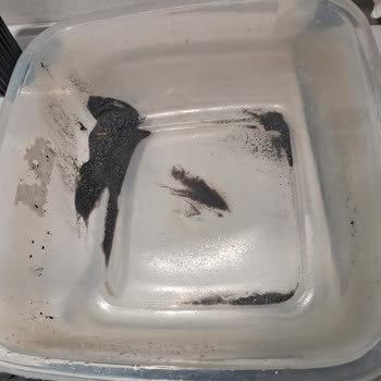 Buderus Servisinin Yetersizliği Ve Tekrarlayan Arıza Sorunu