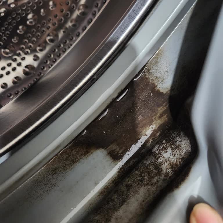 Marc Washing Machine Cleaner Did Nothing—Waste of Time and Money